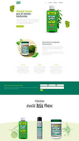 Diseño web con portafolio